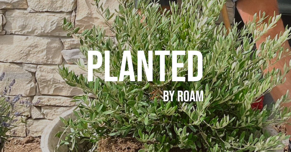 Planted by Roam