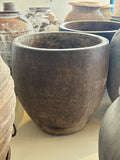 Tropical Palm Planter