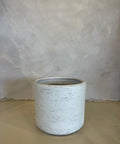 White Speckle Planter