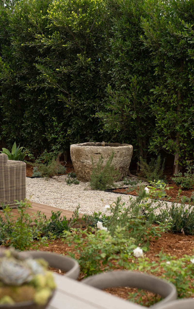 Planted by Roam garden