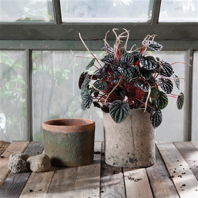 Rustic Terra Cotta Cylinder